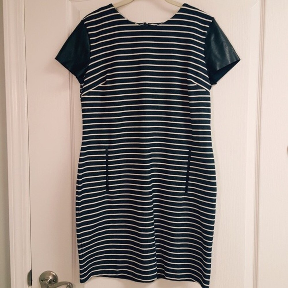 Ann Taylor Striped Leather Sleeve Dress